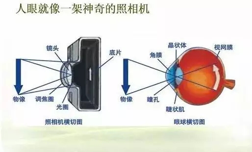128.webp.jpg